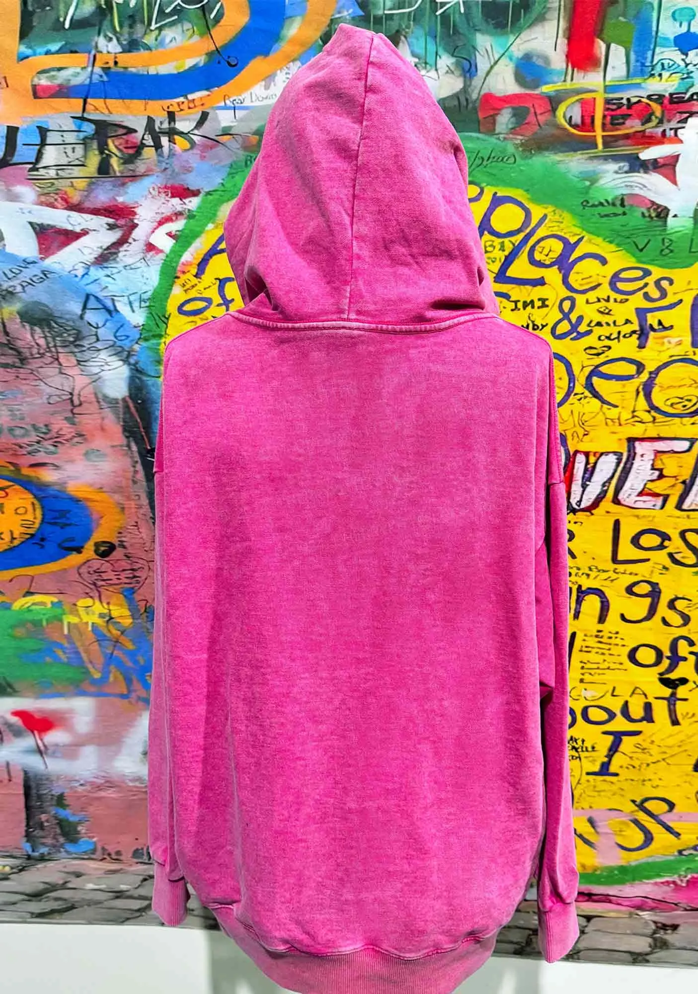 ACAB Cats Y2K Washed Hoodie Cherrykitten