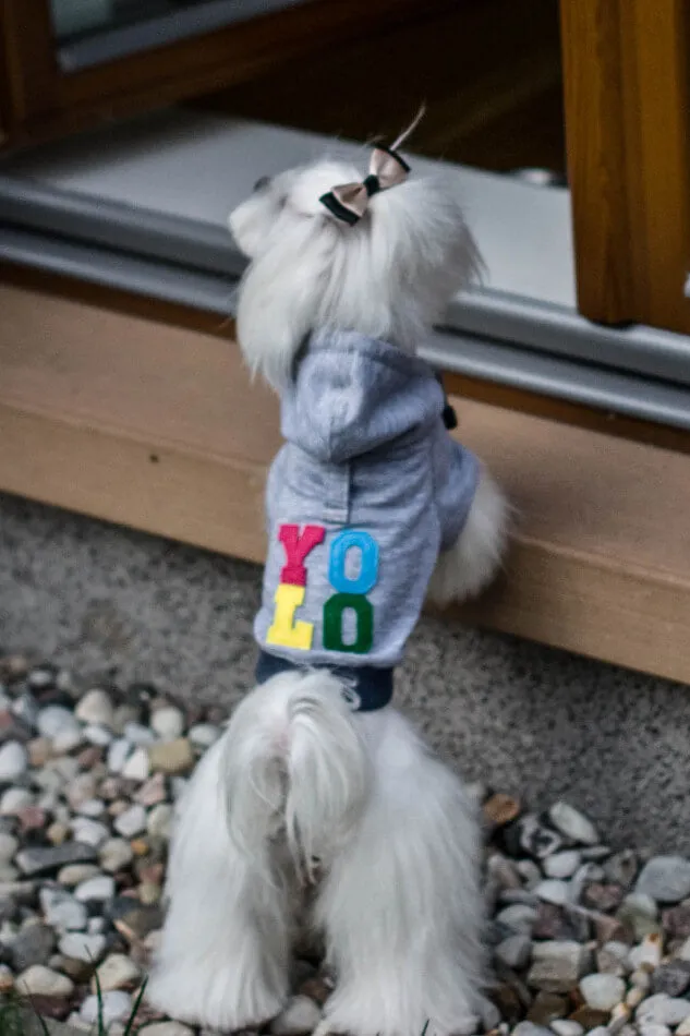 Bowl and Bone Yolo Grey Dog Hoodie