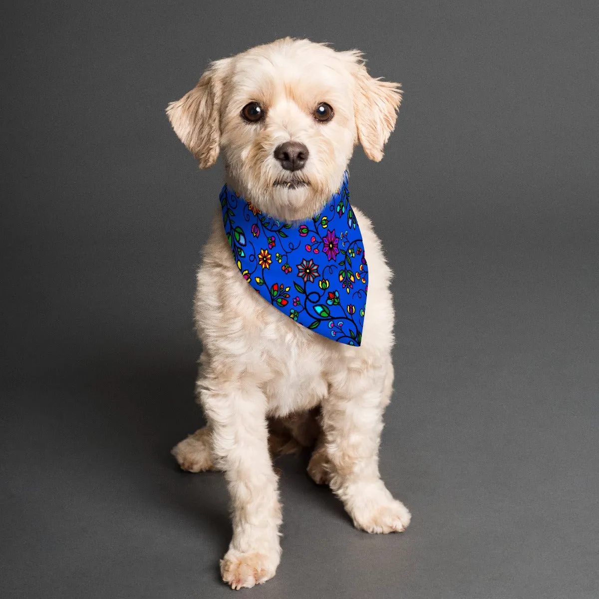 Prairie Paintbrush Blue Pet's Scarf